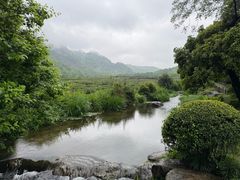 -中国茶叶博物馆(双峰馆区)