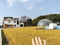-MUSEO COFFEE咖啡博物馆