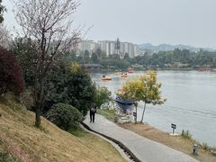 -枫香湖儿童公园