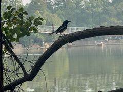 -东湖落雁景区