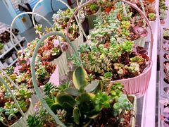 -KKV(深圳宏发大仟里店)