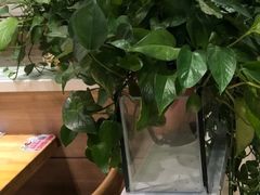 -嘉和一品粥(政府街店)