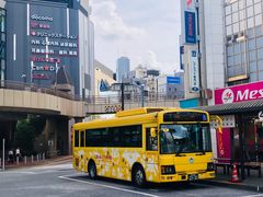 -三鹰之森吉卜力美术馆