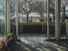 -望海·帆船主题咖啡厅•品茗下午茶(石湖景区店)