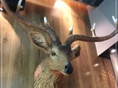 -haxnbauer海森堡德国餐厅(深圳coco店)