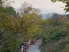 -香山公园
