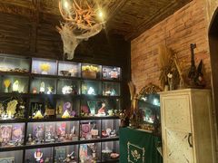 -雪灵魔法世界SHELLY’S TAROT(大良桂畔里店)