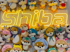 -豆柴町-柴犬主题狗咖(红鼎国际C座店)