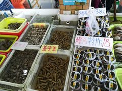 -南沙十九涌渔人码头-南门