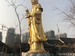 -圆通寺