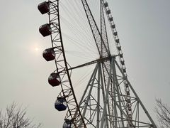 -辛玛王国游乐园