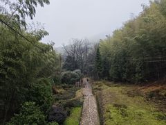 -仙霞关景区
