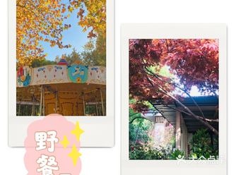 夏天到了，是否该带孩子出去游玩了呢