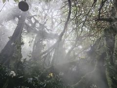 -青青世界