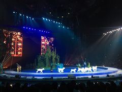-广州长隆国际大马戏