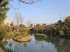 -焦岗湖旅游度假区