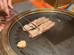 -杨小佳·齐齐哈尔烤肉·烤串(广州店)