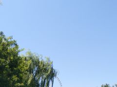 -辛玛王国游乐园