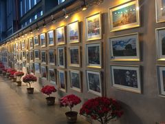 -南通洲际绿博园