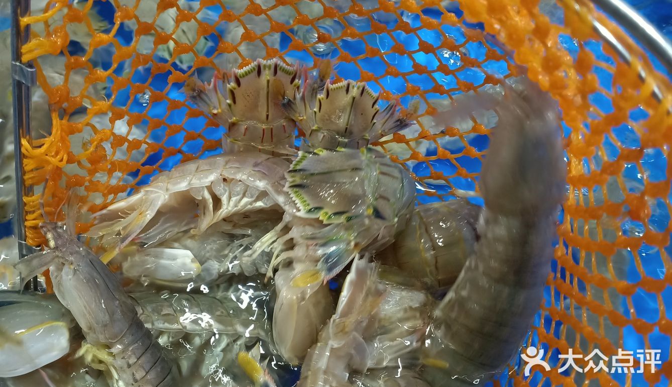 梭子蟹、皮皮虾、海螺、帝王蟹个个鲜活