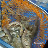 梭子蟹、皮皮虾、海螺、帝王蟹个个鲜活