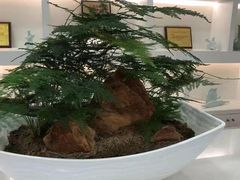 -御仙都北京菜馆·烤鸭店(双井店)