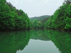 -青龙山国家森林公园