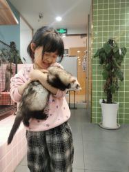 -Moni星球萌宠·小马宝莉·灵蛇·高端高阶全萌宠互动体验俱乐部(红豆国际广场店)