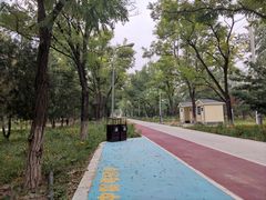 -绿堤公园