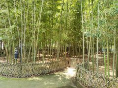 -江南荣村(小溪店)
