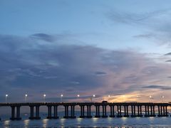 -宝安西湾红树林湿地公园