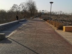 -大兴滨河森林公园