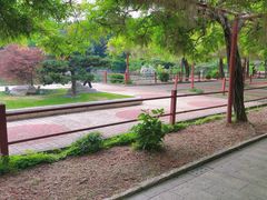-嘉定紫藤园