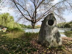 -西南交通大学(九里校区)