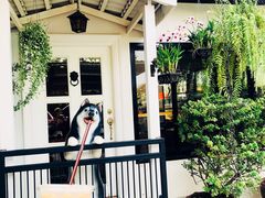 -TrueLove @ Neverland (Husky Cafe)