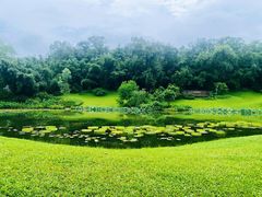-云溪植物园
