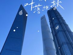 -陆家嘴中心绿地