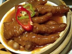 -南枝记