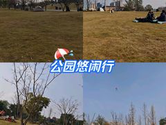 -两河城市森林公园