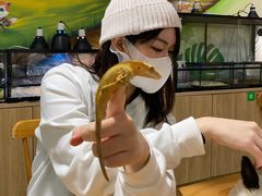 -藦茜花园宠物主题亲子互动体验馆(国顺东路店)