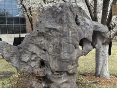 -浙江大学(玉泉校区)