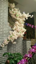 android_upload_pic-雅曼妮