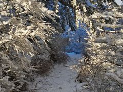-崂山巨峰游览区