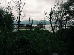 -才村湿地公园