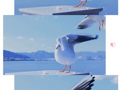 -海埂大坝