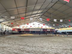 -上海爱久忠马术俱乐部(龙吴路店)