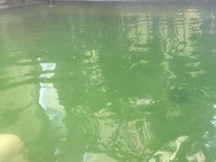 -仁爱团泊湖温泉中心