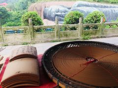 -三水森林公园