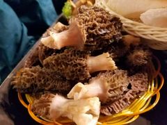 -菌海森林·非遗野生菌火锅(西山区滇池路摩根道店)
