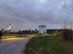 -桂溪生态公园
